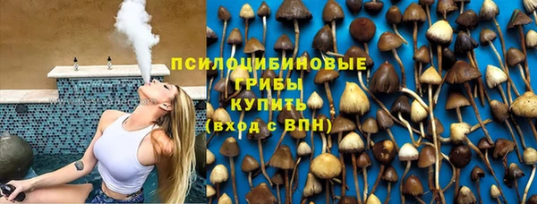 дживик Алапаевск